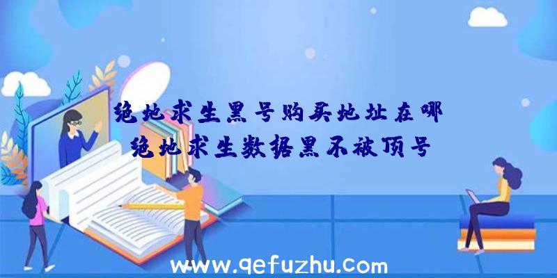 「绝地求生黑号购买地址在哪」|绝地求生数据黑不被顶号